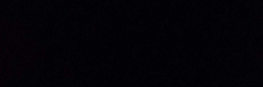 bbee 🐝's banner