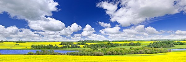 SKEMCollective Profile Banner