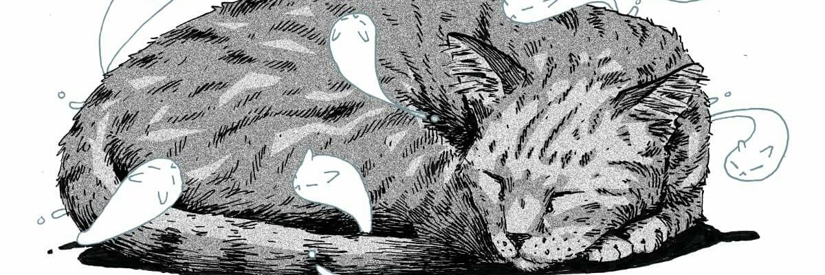 kevinchuchi's profile banner image
