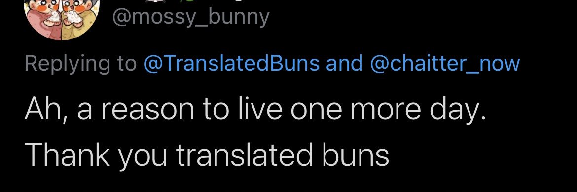 translated buns banner