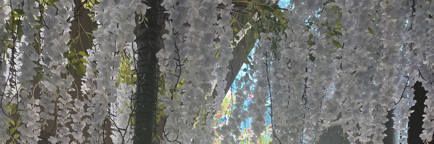 abbieflannery02's profile banner image
