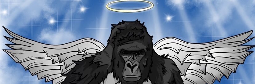SIXPATHS banner