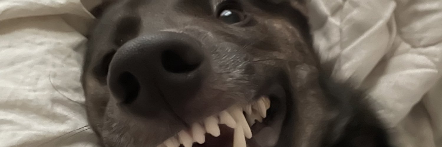 Lonthelast banner