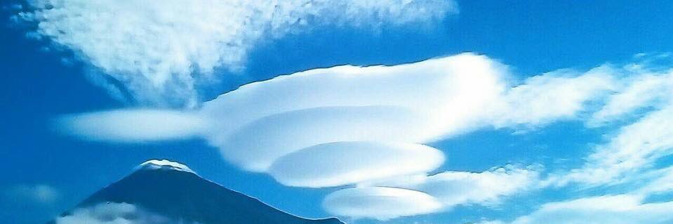 arakidaiju's profile banner image