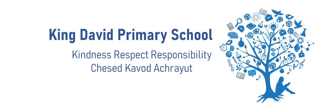King David Primary School banner
