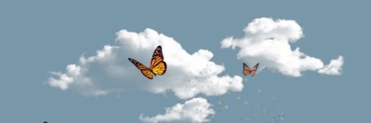DNK. banner