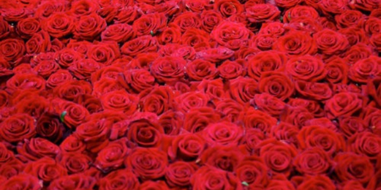justkat_al's profile banner image