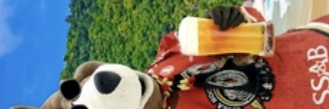 joderus's profile banner image