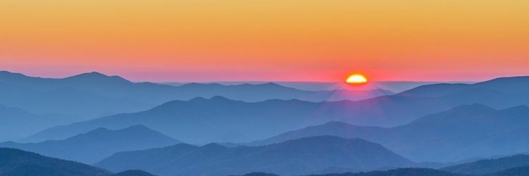 TennesseeSweetT banner