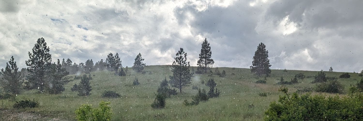 LadyVictoria33's profile banner image