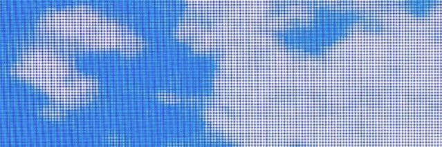 empty/tina! 🪼 banner