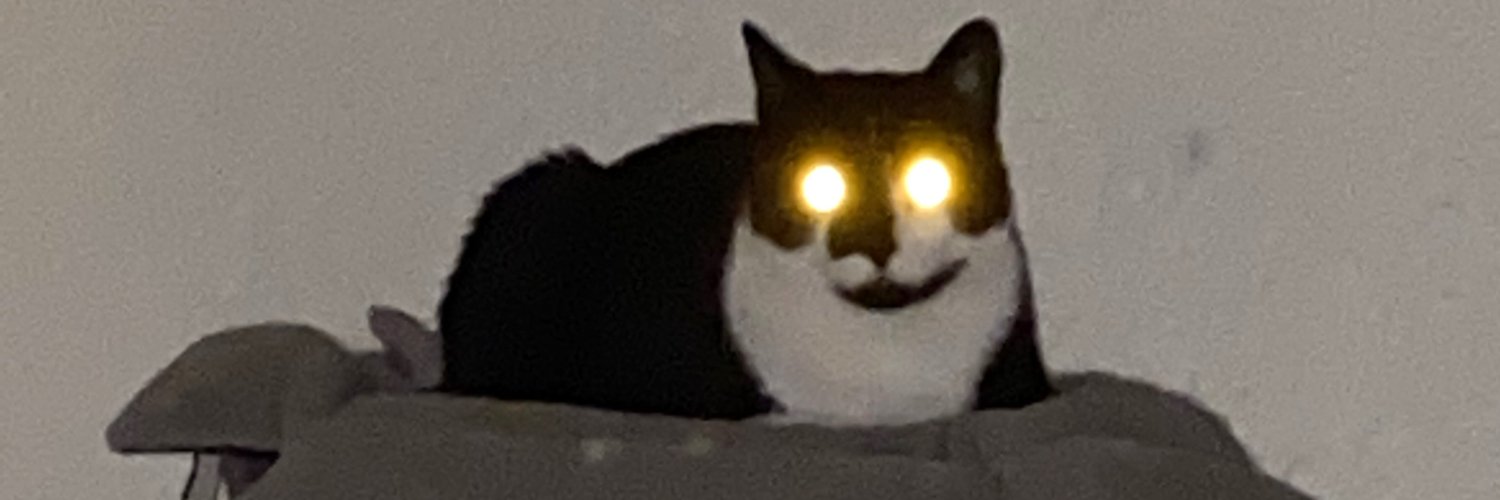 absurdusername's profile banner image