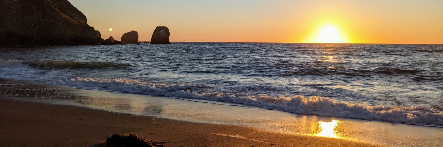 andrés ornelas banner