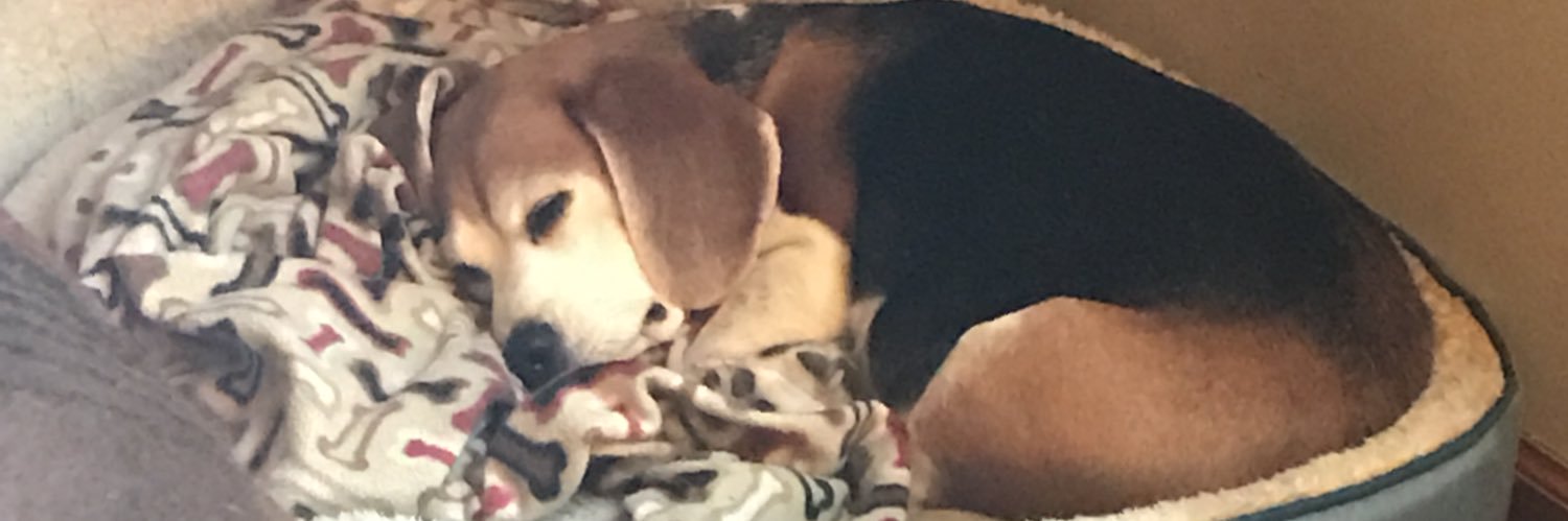 TiaraAmber's profile banner image