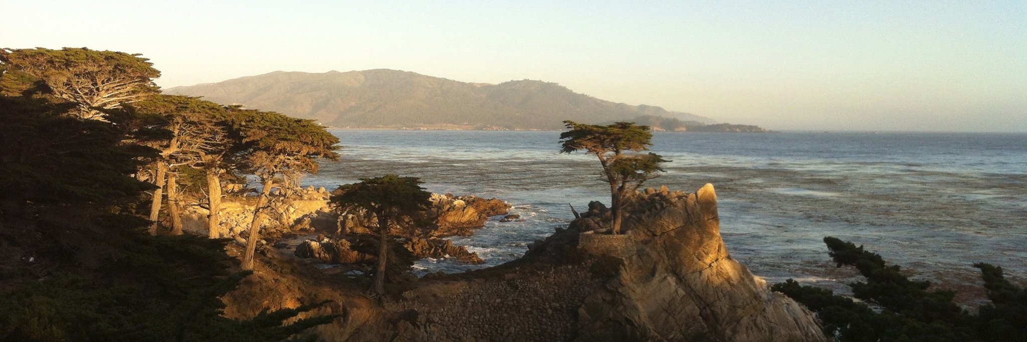 Denis Savenkov banner