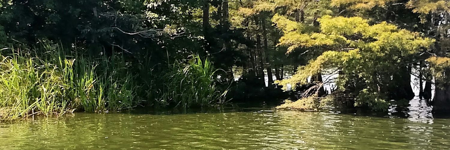 tinroof98's profile banner image