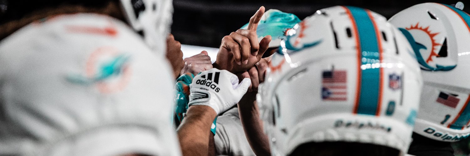 Miami Dolphins España banner
