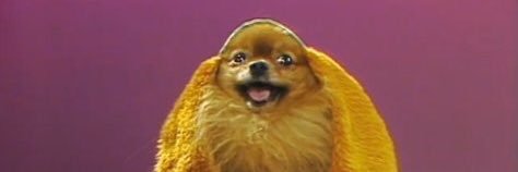 sprads's profile banner image