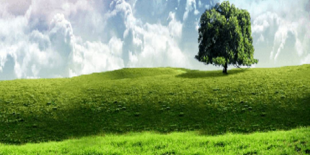 Dominicanits's profile banner image