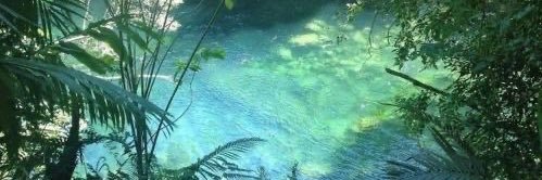 ꒰ daily aquatic lovelies ༚.°'s banner
