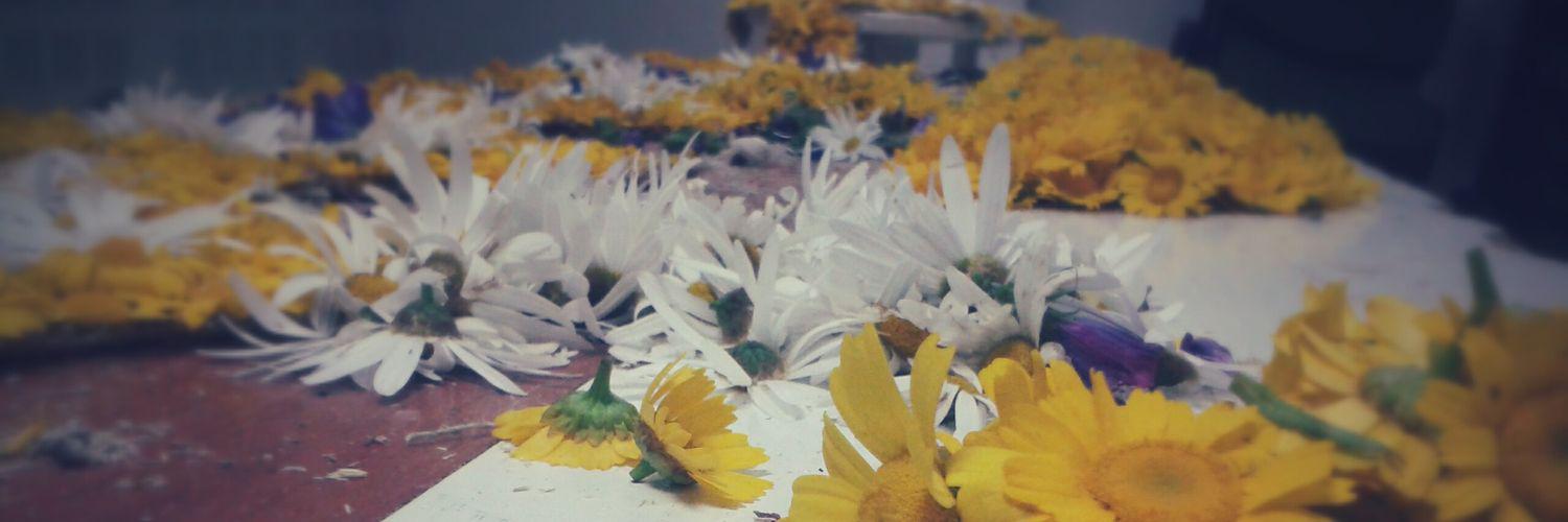 miriam_armada's profile banner image
