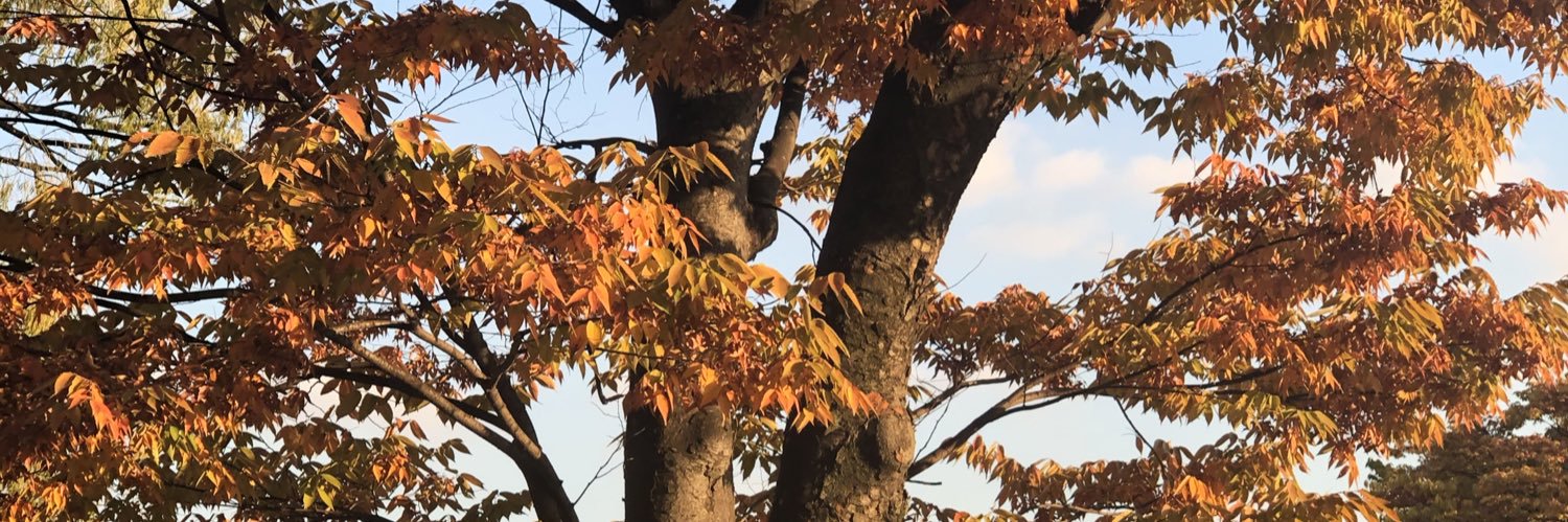EhhUcop's profile banner image
