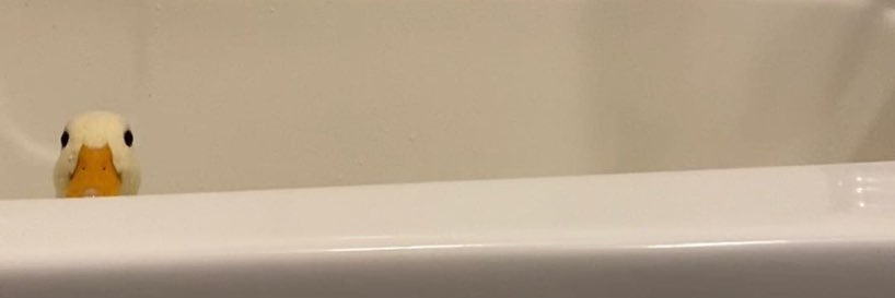 ᯅꕤ⋆๑ꔛ๑ꔛ banner