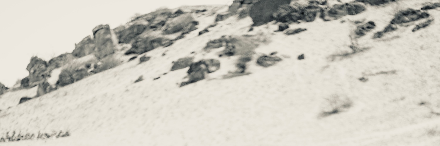 Ian Gray banner