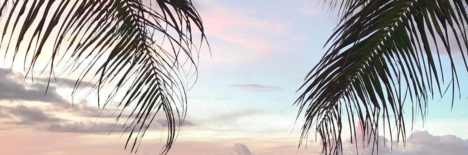 lexiignacio's profile banner image