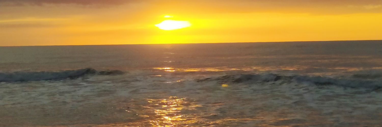 Clo Trainer ⭐️⭐️⭐️ banner