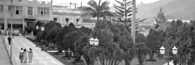 tommaso banner