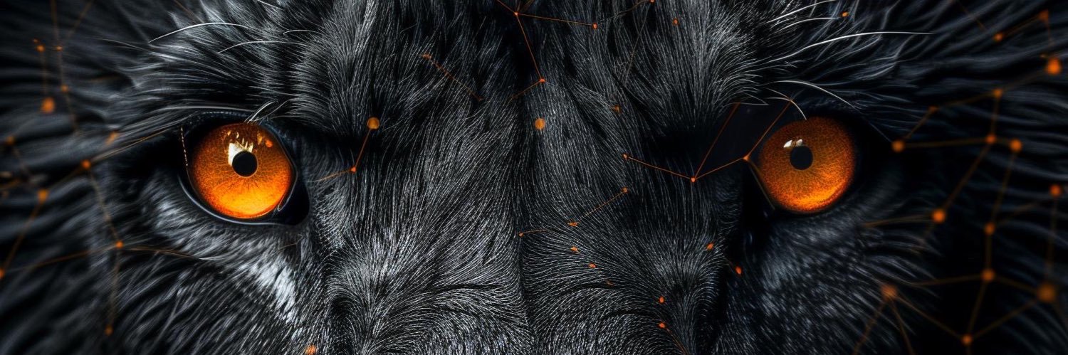 ehodidio's profile banner image