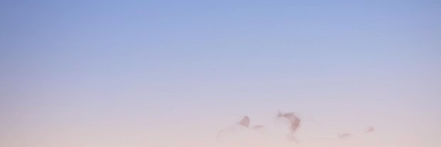 Cahootas banner