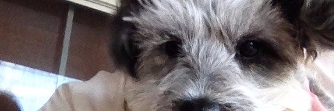 DaveinTexas's profile banner image