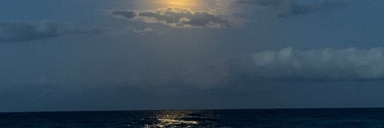 ✨ banner