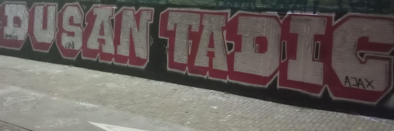 Dušan Tadić banner