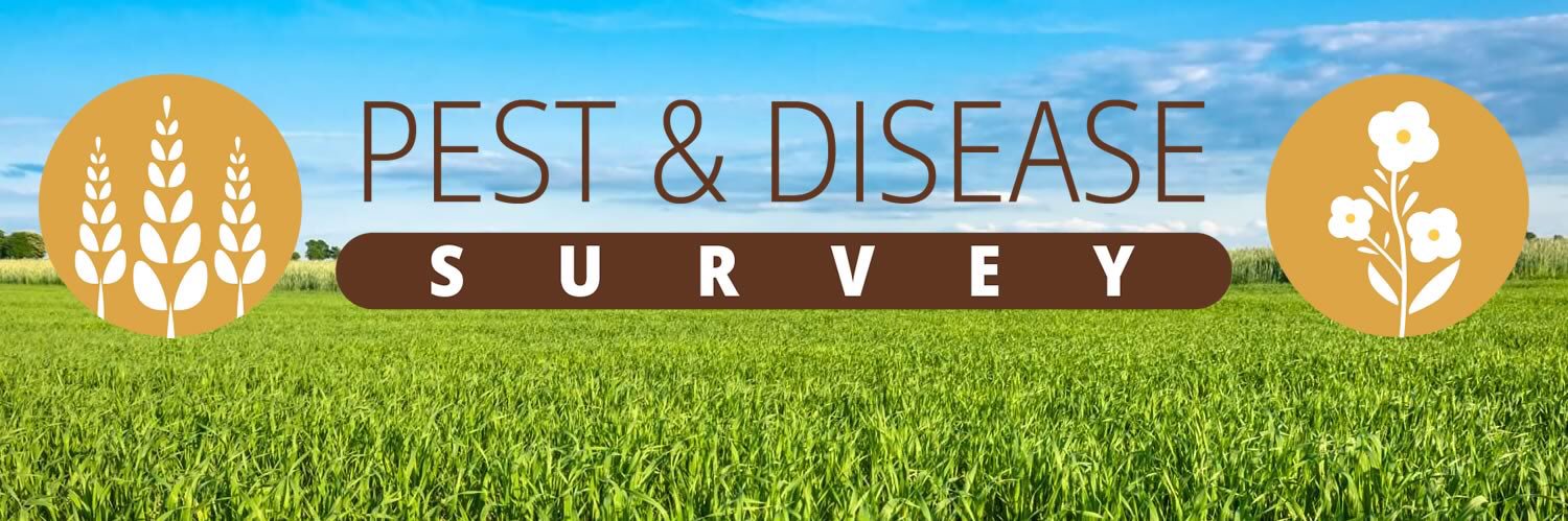 Defra Survey of Crop Pests and Diseases banner