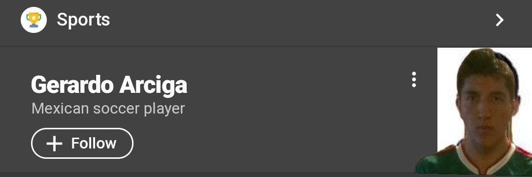 gera banner