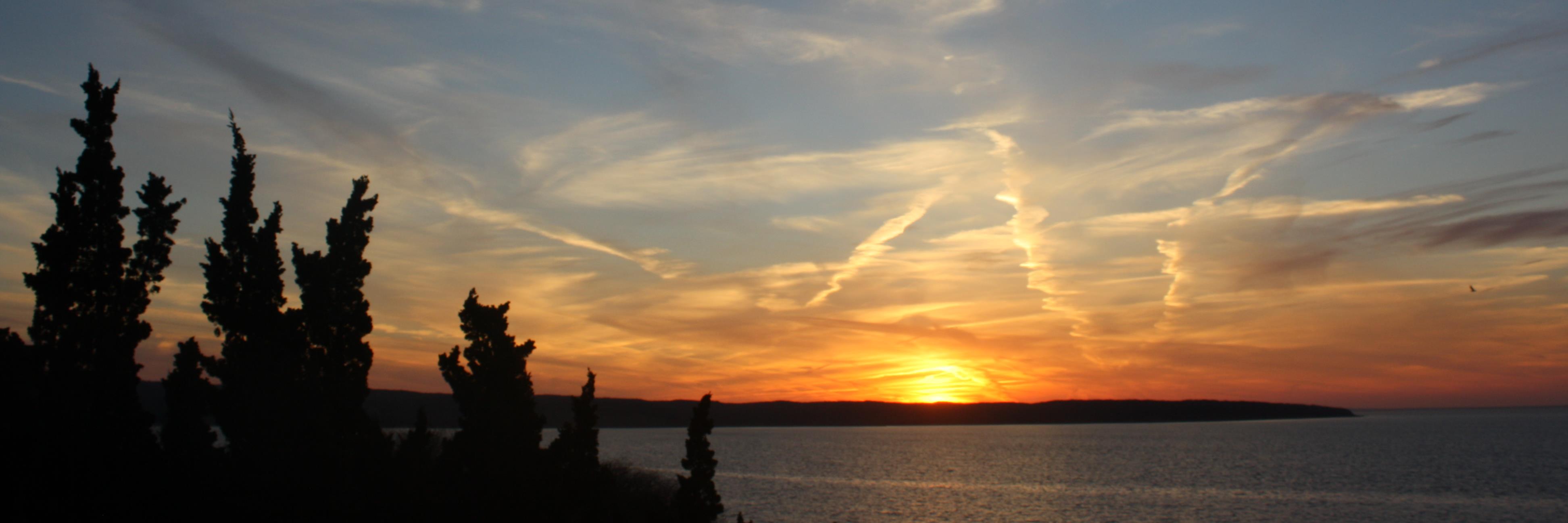joyceclear's profile banner image