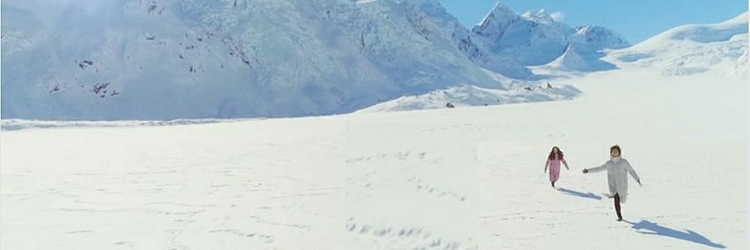 🕊 banner