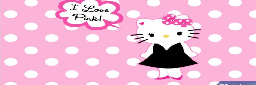 HiDottie's profile banner image