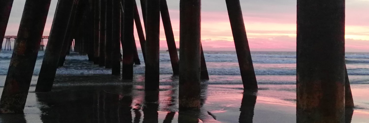 SofiaRascon's profile banner image