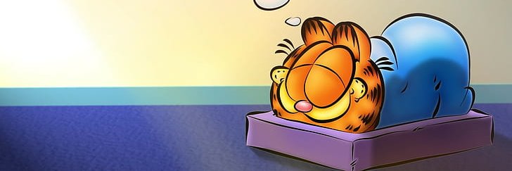 garfield_crypto's profile banner image
