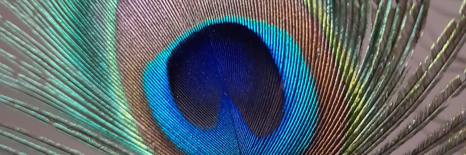 Kath Helliwell banner