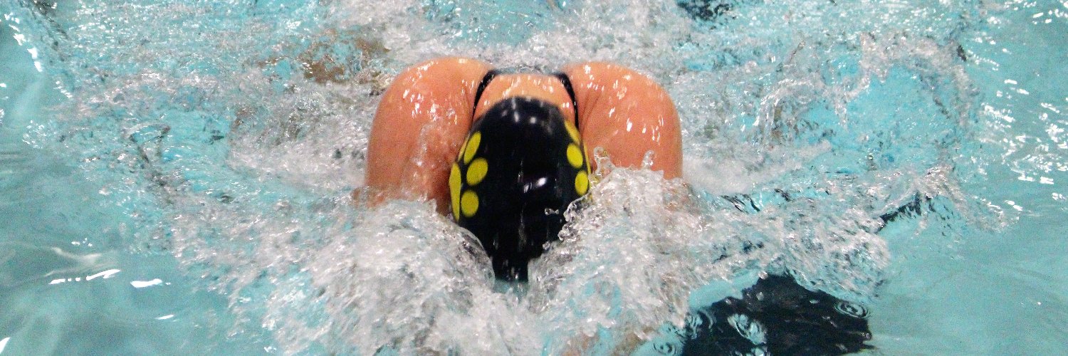 OFalls Swim & Dive banner