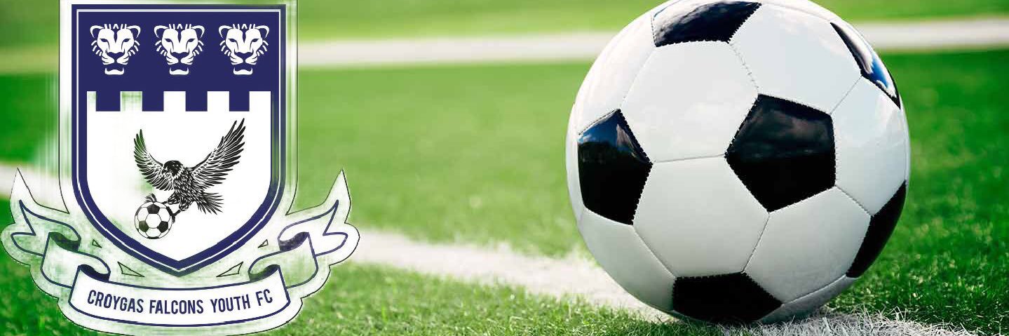 Croygas Falcons YFC banner