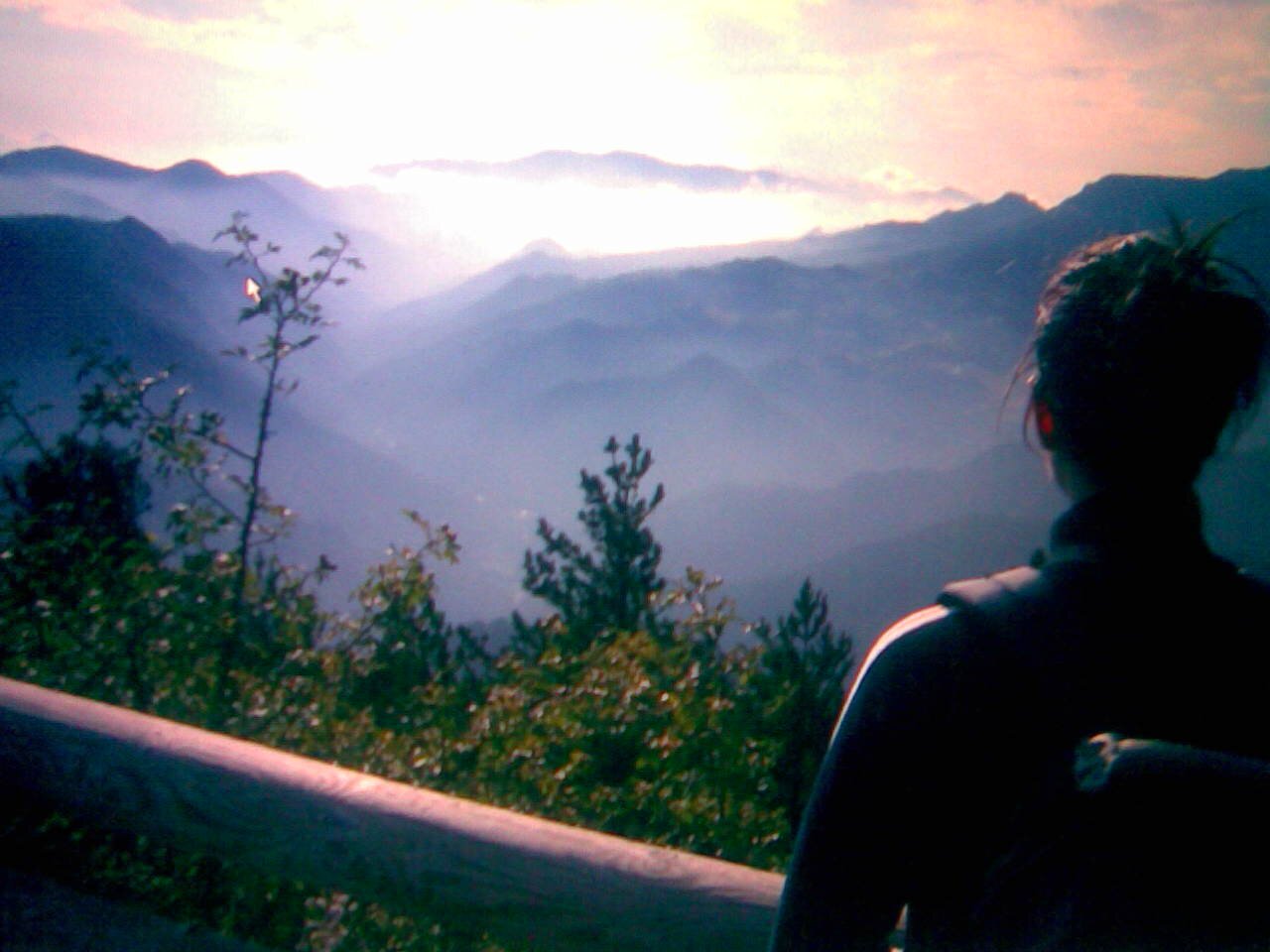 anca949's profile banner image