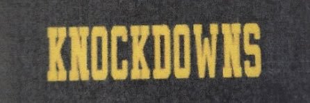 Sachem North Hogs banner