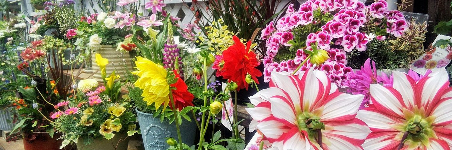 カーメン君@園芸超人 banner