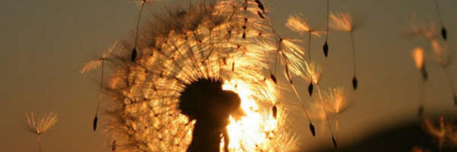 blidania's profile banner image